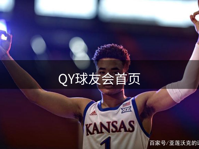 公司简介